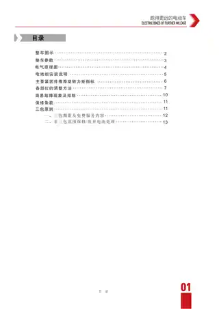 tailg台铃台铃金毛狮王K6 TDZAP5Z